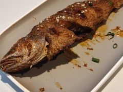 -不是烧烤·武汉大排档(大成路店)