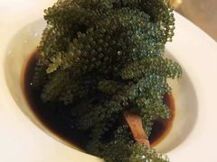-安多素食(广仁寺路店)