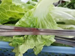 杂菜-章记正宗南岗鱼蛋火锅