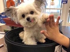 -鱼库·不仅是一家烤鱼店(车公庙店)