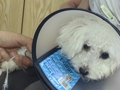 -宠颐生宠物医院·心肾内科·猫专科诊疗中心宠巢店
