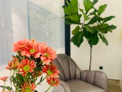 -LB·海菲秀牛奶光官方体验中心