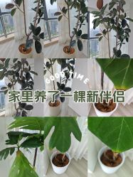 -HEYAN荷妍专业脱毛连锁机构