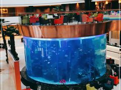 -佛山希尔顿酒店·融誉亚洲美食荟