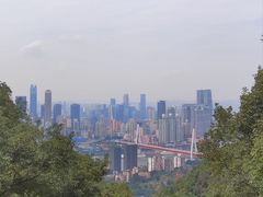 -南山植物园