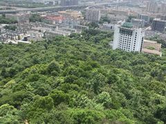 -杭州半山国家森林公园