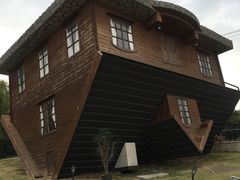 -金山农民画村-枫泾波兰倒置屋