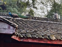 -乐山大佛风景名胜区乌尤寺南门-售票点