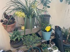-满月蛋糕定制·商务茶歇·diy课程(万达广场店)