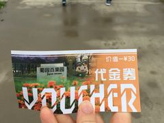 -菊园百果园