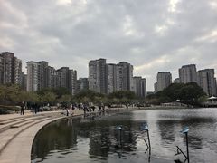 -新江湾城公园