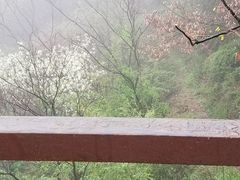 -敬亭山风景名胜区