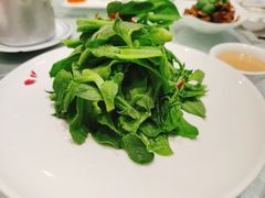 荷兰冰草-金米箩大酒店(五角场店)