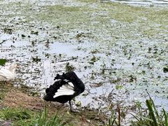 -昆山城市生态森林公园