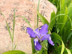 -济南国际园博园