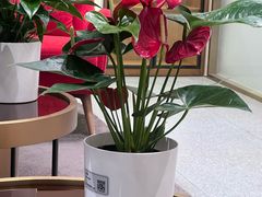 -招商银行(北京清华园科技金融支行)