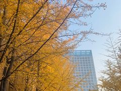 -辽宁大学(崇山校区)