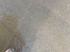 -普陀山风景名胜区-千步大沙