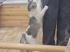 -南通CBD大有境