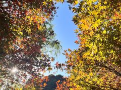 -岳麓山风景名胜区