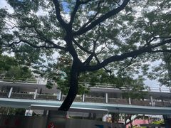 -香港科学馆