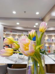 -酉嘉瑜伽YO+YOGA