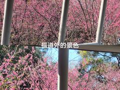 -福道