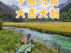 -稻城亚丁景区-冲古草甸