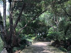 -叶家花园