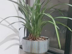 -荷风细雨·中国茶宴(碧云店)