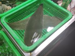 -都斛海鲜街