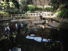 -南宫五洲植物乐园