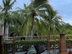 -日落吧·海景咖啡厅·餐酒吧·鸡尾酒·下午茶·乐队表演·浪漫夕阳·三亚文华东方酒店