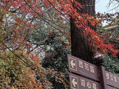 -西园戒幢律寺