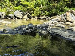 -石台牯牛降景区