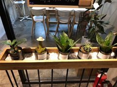-ZM COFFEE(西安路店)