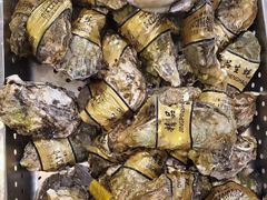 -碧中海汤泉汗蒸酒店