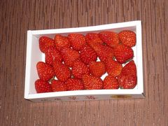 -欧尚(江阳中路店)