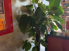 -四川饭店·小龙虾(长白店)