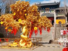 -淄博聊斋城景区