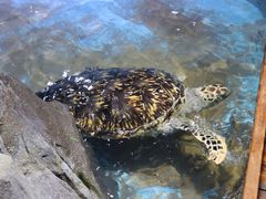 -台州海洋世界