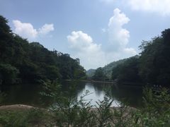 -青城山