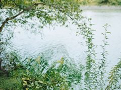 -梁鸿国家湿地公园