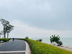 -深圳湾公园(南山区)
