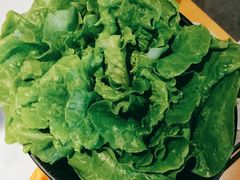 生菜-煲宫猪肚鸡(晶品店)