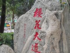 -武汉大学-樱园