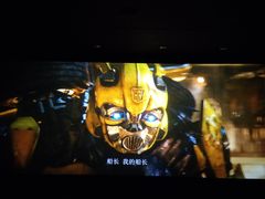 -SFC上影百联影城(大上海4DX店)