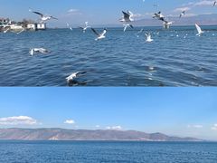 -大理洱海