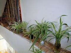 -唐咖精品咖啡(大理古城手冲店)
