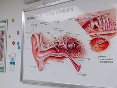-自然之声助听器·呼吸机(翠微大厦店)